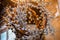 Close up of a decorated crown with lovely white jewels around