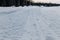 Close-up of a deep rutted snowmobile in the snow. Winter outdoor recreation. Selective focus of footprints