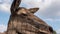 Close-up of a deer, muzzle of a young deer against the sky.