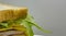 Close up of deli sandwich against white background