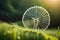 A close-up of a delicate, raindrop-covered spiderweb hanging between two blades of grass