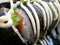 Close up of delicious Japanese Futomaki sushi rolls topped with mayonnaise and green onion