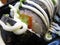 Close up of delicious Japanese Futomaki sushi rolls topped with mayonnaise and green onion