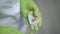 Close-up dental cast in female hands in gloves indoors. Unrecognizable Caucasian professional dentist placing tooth on