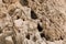 Close up of desert rock wall with deep dark holes and cracks on the surface