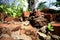 Close up of destroyed brick walls