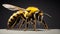 Close-up detail on a bee pollinating flower on a black background.