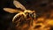 Close-up detail on a bee pollinating flower on a black background.