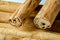 Close-up detail Ceylon cinnamon sticks