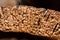 Close-up and detail cork bark in drying