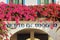 Close up detail of flowers in Puerto de Mogan, Little Venice in Gran Canaria