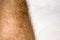 Close up detail of human skin with hair. Mans very hairy leg. Selective focus. Copyspace for text