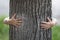 Close-up detail isolated growing big strong tree trunk embraced from behind by small child hands.