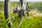 Close-up of detail of the mountain bicycle on the green grass.