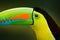 Close-up detail portrait of toucan. Beautiful bird with big beak. Chesnut-mandibled sitting on the branch in tropical rain with gr