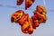Close-up detail shot of traditional hanged dried red pepper on the rope with blue background