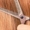 Close up detail. Special scissors cutting hair.