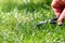 Close-up detail view of man hand cutting green grass on backyard garden with small nail scissors on bright summer sunny