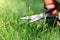 Close-up detail view of man hand cutting green grass on backyard garden with small nail scissors on bright summer sunny