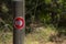 Close-up with detail of a wooden pole that signals the direction