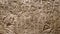 CLOSE UP: Detailed view of beautiful Egyptian symbols carved into a stone wall.