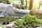 Close-up details leftover pieces of green fresh rolled lawn grass on wooden pallet after layinng at city park or