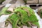 Close-up details leftover pieces of green fresh rolled lawn grass on wooden pallet after layinng at city park or