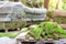 Close-up details leftover pieces of green fresh rolled lawn grass on wooden pallet after layinng at city park or backyard. Green