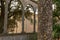 Close-up of a deteriorated medieval cloister column