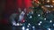 Close-up of a Devon Rex cat sitting near a Christmas tree.