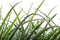 A close-up of a dew drop on a blade of grass, with the reflection of the surrounding environment visible in the drop.