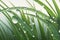 A close-up of a dew drop on a blade of grass, with the reflection of the surrounding environment visible in the drop.