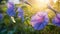 A close-up of dew-kissed morning glory vines in soft morning light