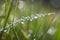 close-up of dewdrop on blade of grass in misty meadow