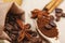 Close-up different types of coffee beans on wooden spoon, sticks of cinnamon and anise star, macro, set