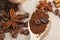 Close-up different types of coffee beans on wooden spoon, sticks of cinnamon and anise star, macro, set