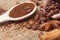 Close-up different types of coffee beans on wooden spoon, sticks of cinnamon and anise star, macro, set