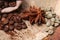 Close-up different types of coffee beans on wooden spoons, green coffee, anise star, macro, set