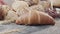 Close-up of  different types of fresh baked Dutch bread is on the wooden table