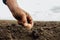 close up of a dirty hand of professional farmer sowing seeds of walnut on soil by care.