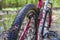 close-up of dirty wheels and the bottom of a bicycle on forest trails. View from bike wheel in puddle of mudd