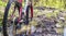 close-up of dirty wheels and the bottom of a bicycle on forest trails. View from bike wheel in puddle of mudd