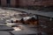 close-up of discarded and broken beer bottle in the street