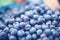 close-up of a display of plump blueberries