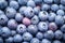 close-up of a display of plump blueberries