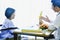 Close-up of Doctor check-up physiotherapist massaging of female in patient in a physio room