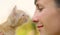 CLOSE UP, DOF: Happy girl holds a curious orange baby cat close to her face.