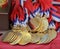The close up of dog golden medals.