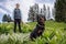 Close-up of dog of Rottweiler with collar and leash sits near his unknown mistress on meadow with mountain vegetation