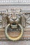 Close-up door handle lion with ring in mouth, classic knocker